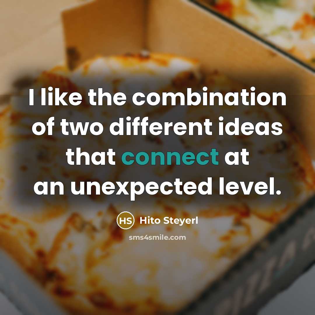“I like the combination of two different ideas that connect at an unexpected level.” quote by Hito Steyerl