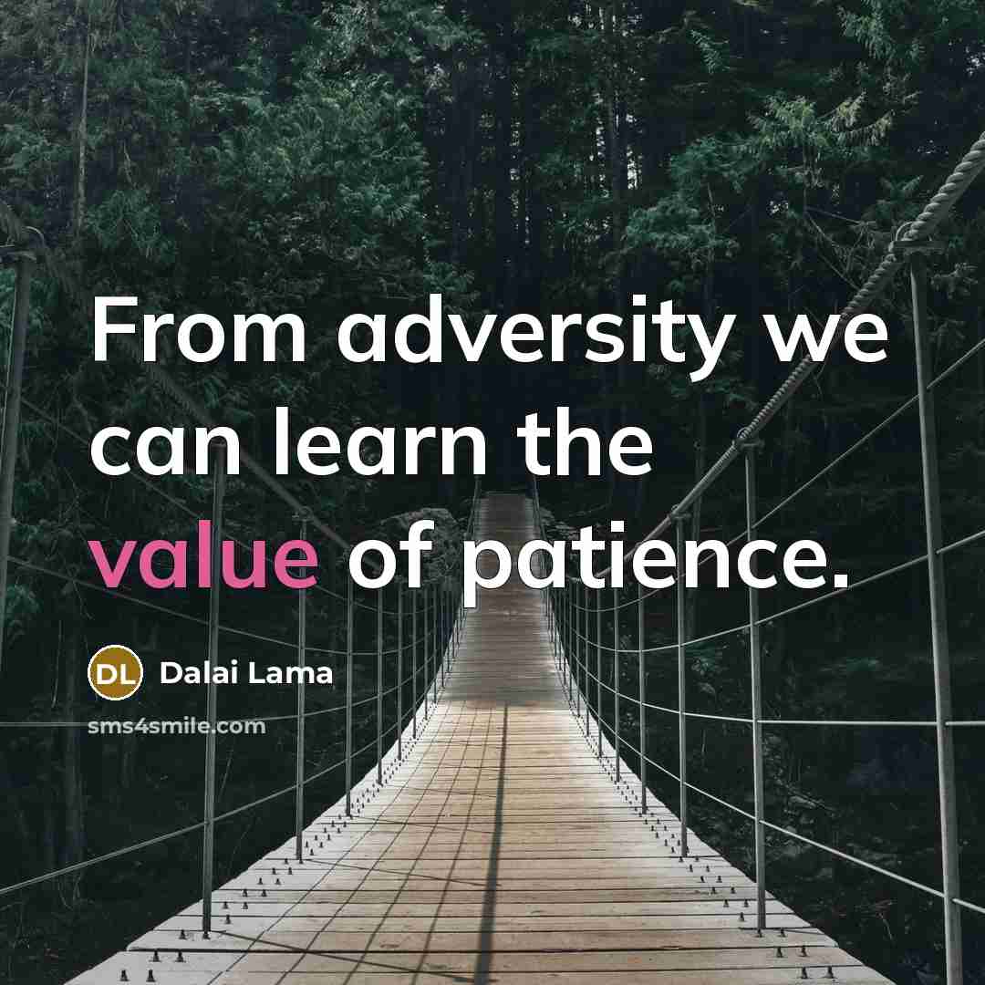 “From adversity we can learn the value of patience.” quote by Dalai Lama