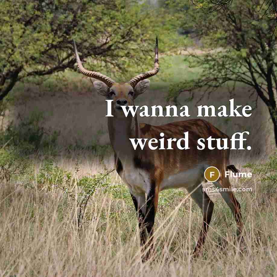 “I wanna make weird stuff.” quote by Flume