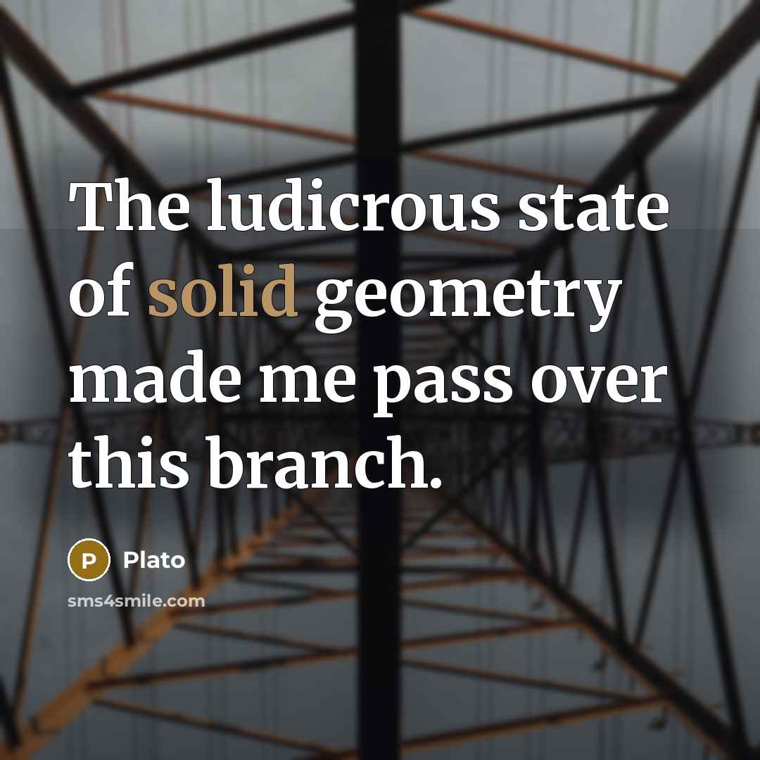 “The ludicrous state of solid geometry made me pass over this branch.” quote by Plato
