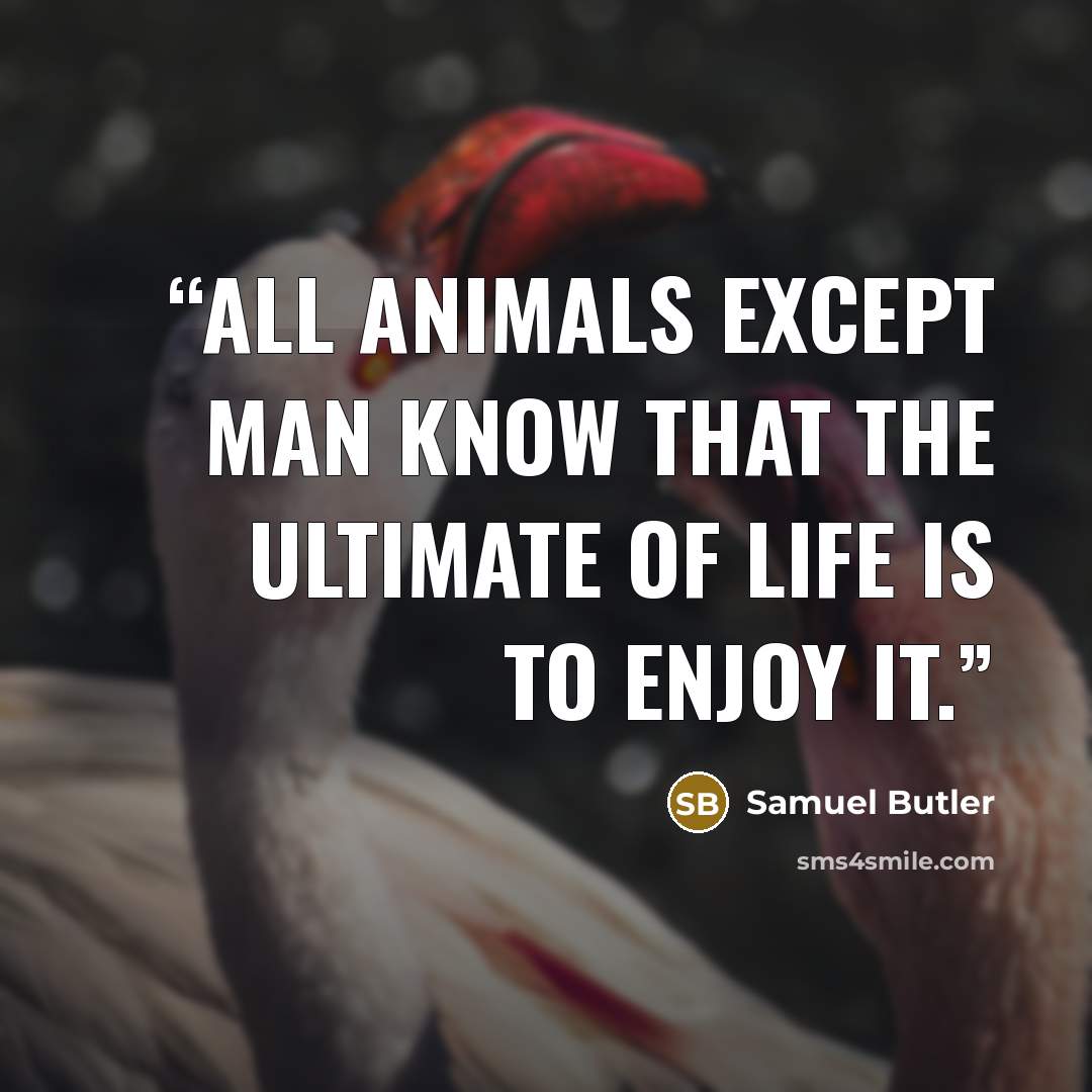 “All animals except man know that the ultimate of life is to enjoy it.” quote by Samuel Butler