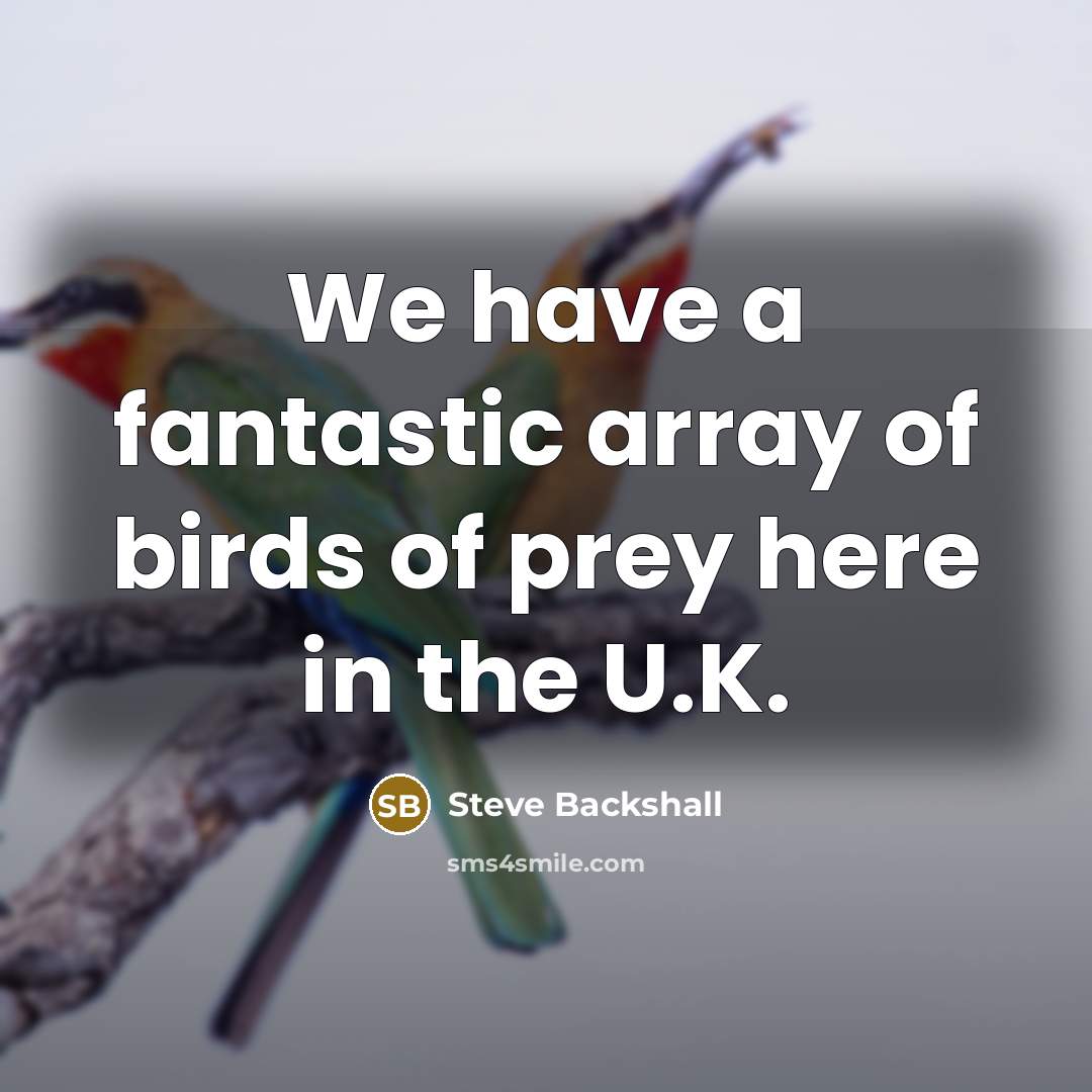 “We have a fantastic array of birds of prey here in the U.K.” quote by Steve Backshall