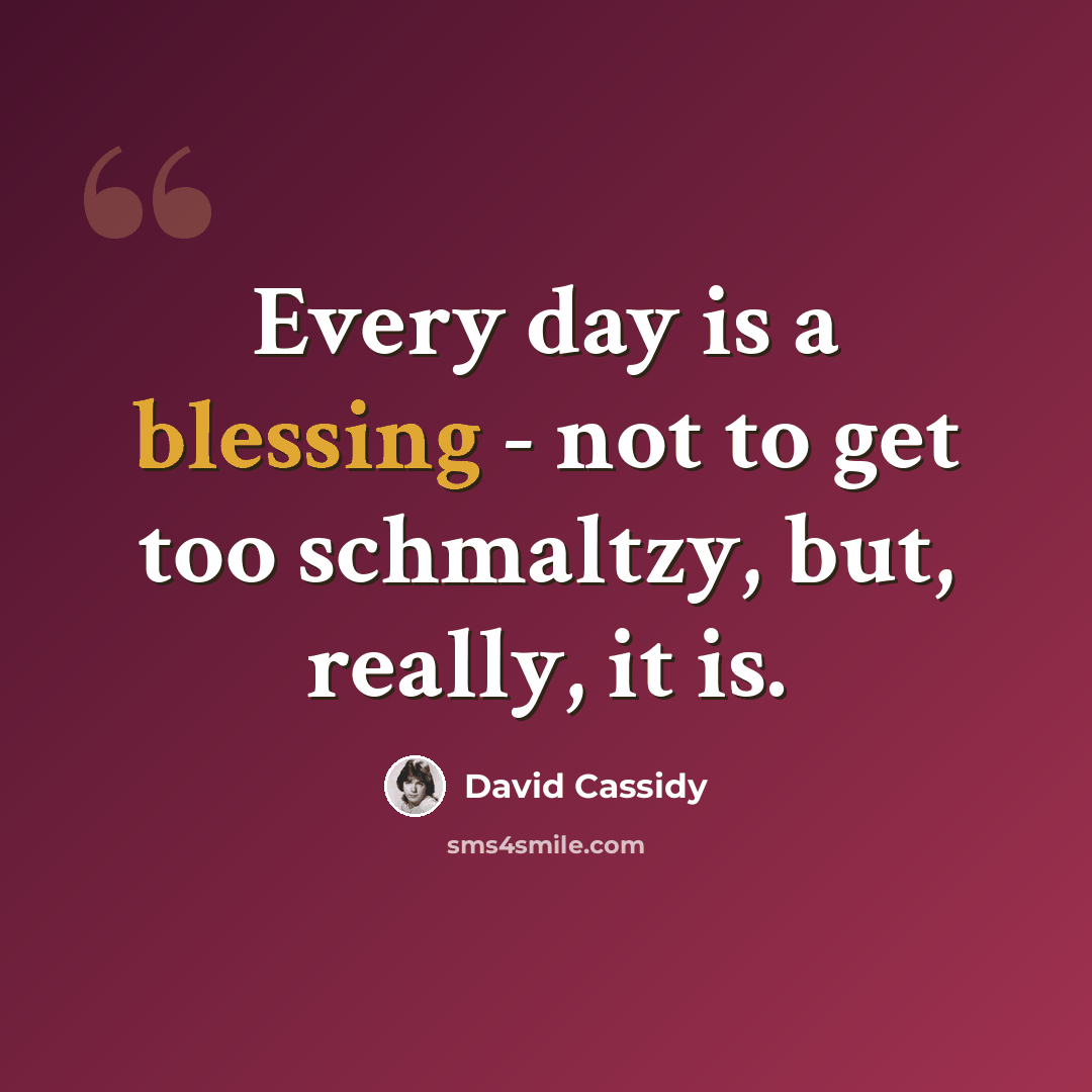 “Every day is a blessing - not to get too schmaltzy, but, really, it is.” quote by David Cassidy