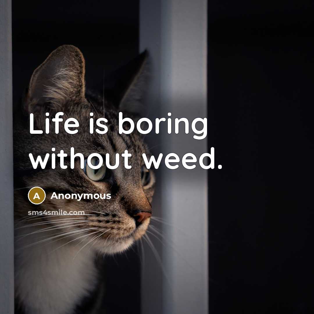 “Life is boring without weed.” quote by Anonymous