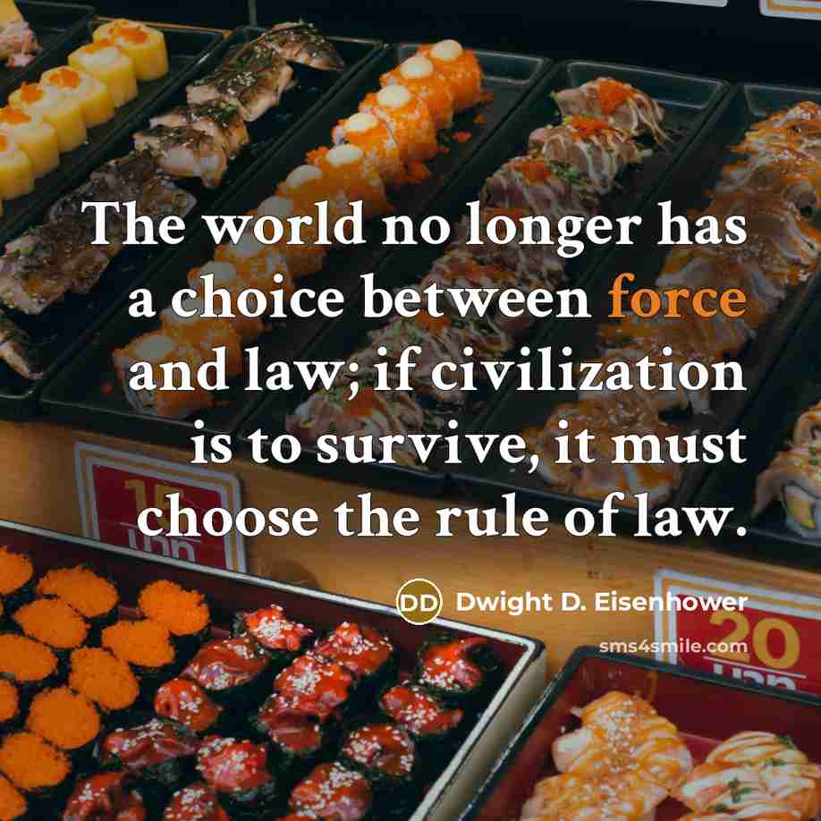“The world no longer has a choice between force and law; if civilization is to survive, it must choose the rule of law.” quote by Dwight D. Eisenhower