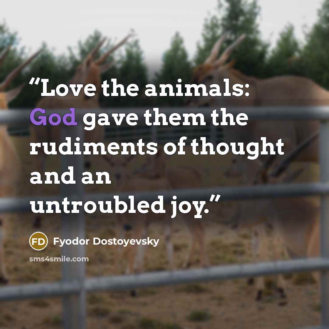 “Love the animals: God gave them the rudiments of thought and an untroubled joy.” quote by Fyodor Dostoyevsky