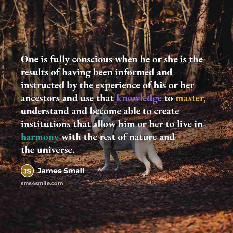 “One is fully conscious when he or she is the results of having been informed and instructed by the experience of his or her ancestors and use that knowledge to master, understand and become able to create institutions that allow him or her to live in harmony with the rest of nature and the universe.” quote by James Small