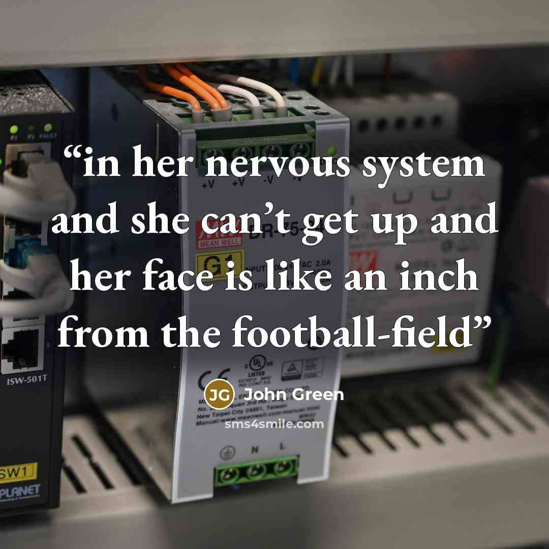“in her nervous system and she can’t get up and her face is like an inch from the football-field” quote by John Green