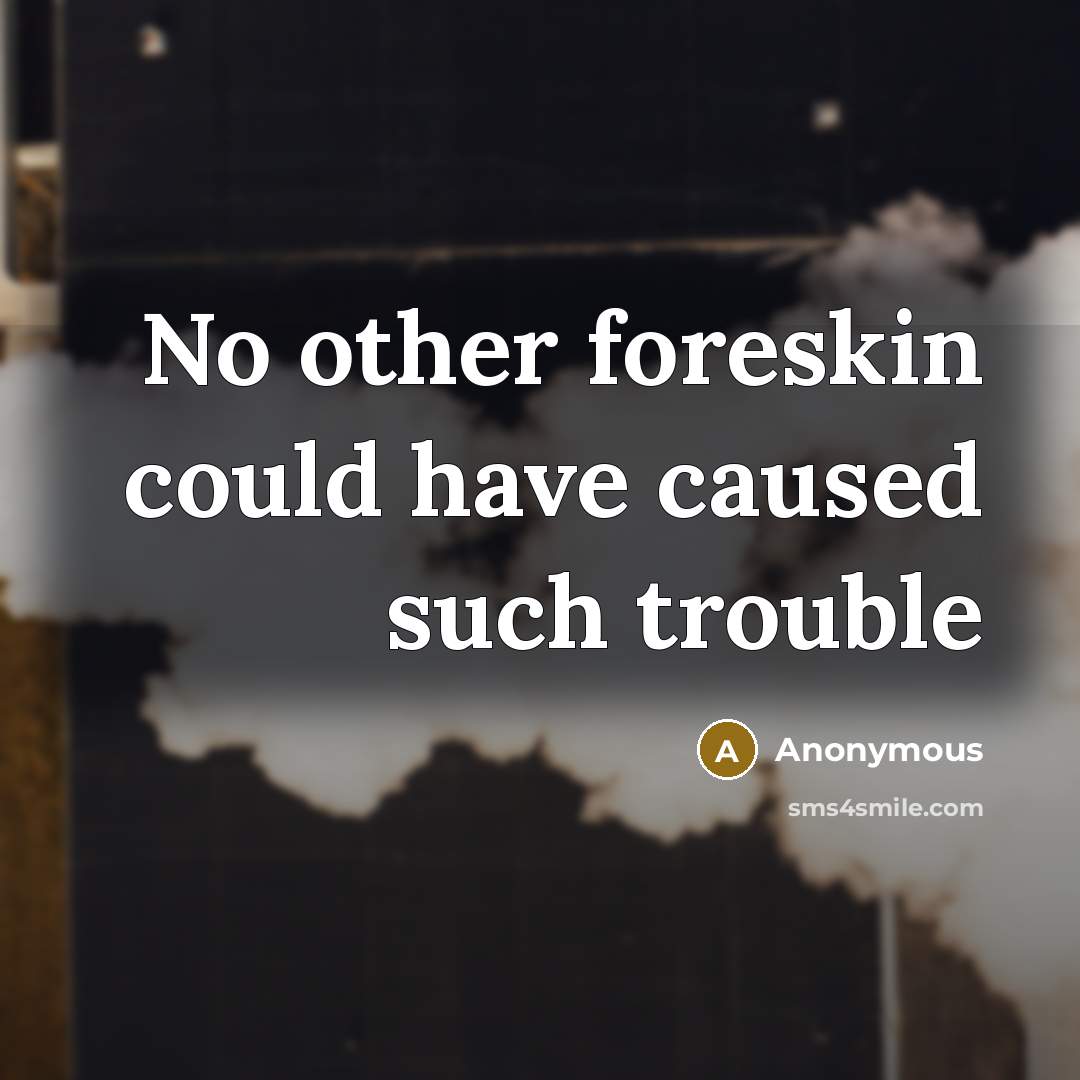 “No other foreskin could have caused such trouble” quote by Anonymous