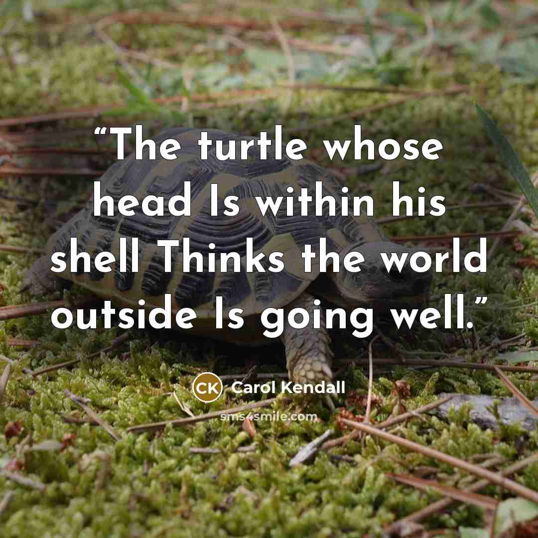 “The turtle whose head Is within his shell Thinks the world outside Is going well.” quote by Carol Kendall