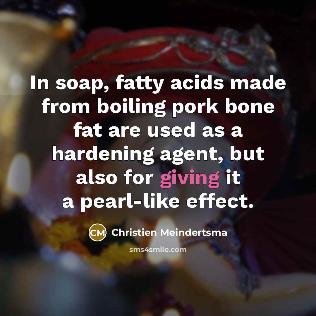 “In soap, fatty acids made from boiling pork bone fat are used as a hardening agent, but also for giving it a pearl-like effect.” quote by Christien Meindertsma