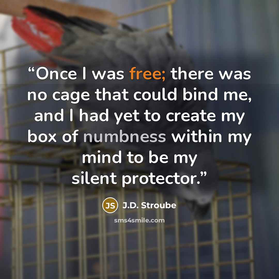 “Once I was free; there was no cage that could bind me, and I had yet to create my box of numbness within my mind to be my silent protector.” quote by J.D. Stroube