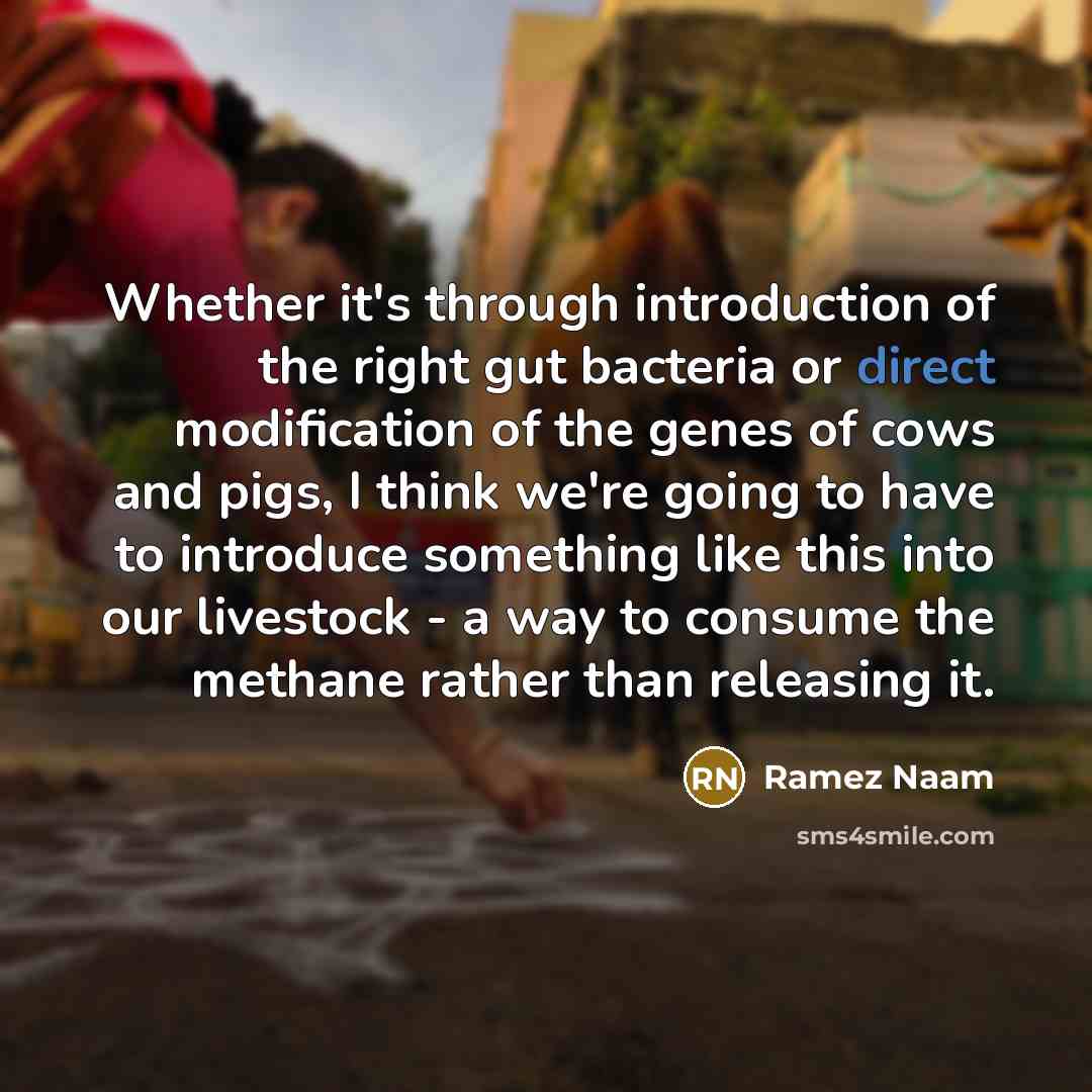 “Whether it's through introduction of the right gut bacteria or direct modification of the genes of cows and pigs, I think we're going to have to introduce something like this into our livestock - a way to consume the methane rather than releasing it.” quote by Ramez Naam
