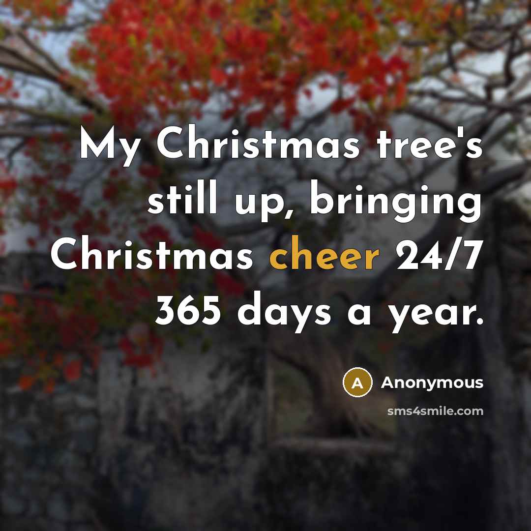 “My Christmas tree's still up, bringing Christmas cheer 24/7 365 days a year.” quote by Anonymous