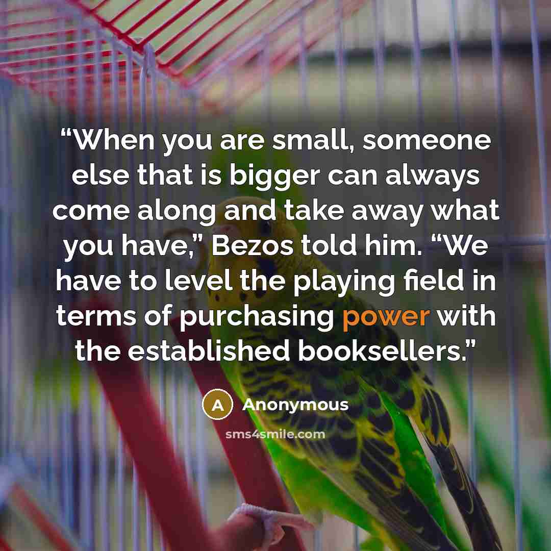 “When you are small, someone else that is bigger can always come along and take away what you have,” Bezos told him. “We have to level the playing field in terms of purchasing power with the established booksellers.” quote by Anonymous