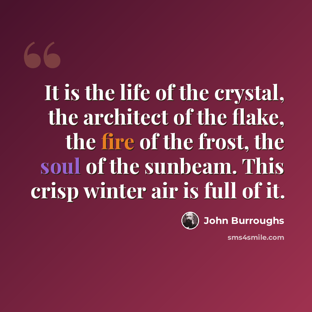 “It is the life of the crystal, the architect of the flake, the fire of the frost, the soul of the sunbeam. This crisp winter air is full of it.” quote by John Burroughs