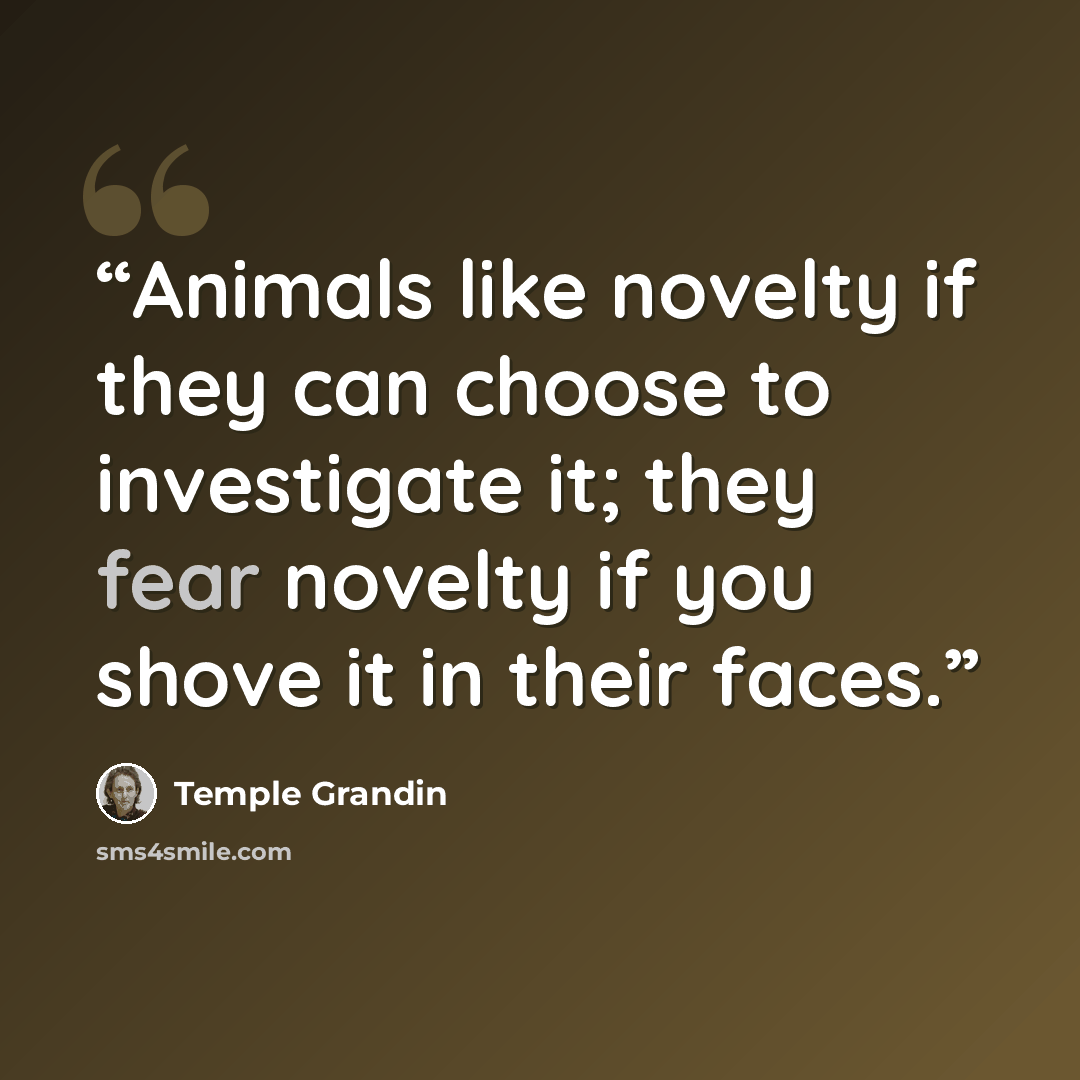 “Animals like novelty if they can choose to investigate it; they fear novelty if you shove it in their faces.” quote by Temple Grandin