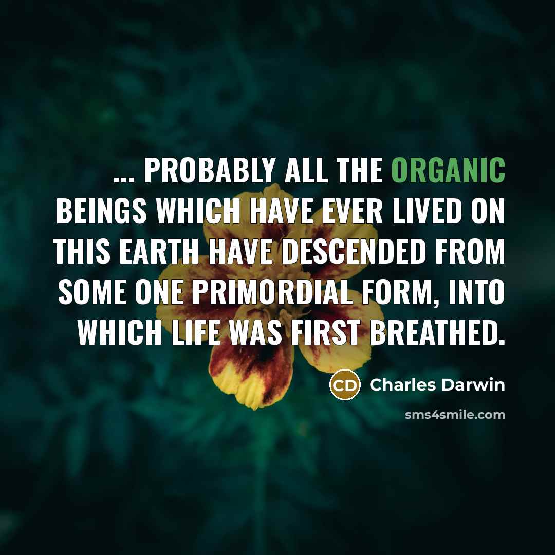 “... probably all the organic beings which have ever lived on this earth have descended from some one primordial form, into which life was first breathed.” quote by Charles Darwin