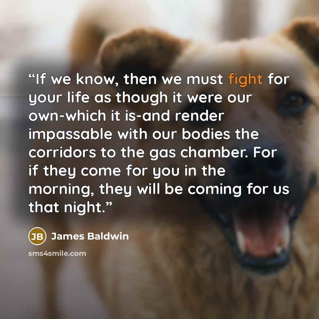 “If we know, then we must fight for your life as though it were our own-which it is-and render impassable with our bodies the corridors to the gas chamber. For if they come for you in the morning, they will be coming for us that night.” quote by James Baldwin