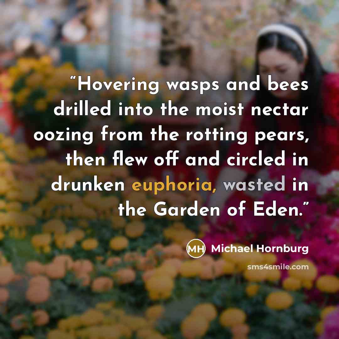 “Hovering wasps and bees drilled into the moist nectar oozing from the rotting pears, then flew off and circled in drunken euphoria, wasted in the Garden of Eden.” quote by Michael Hornburg