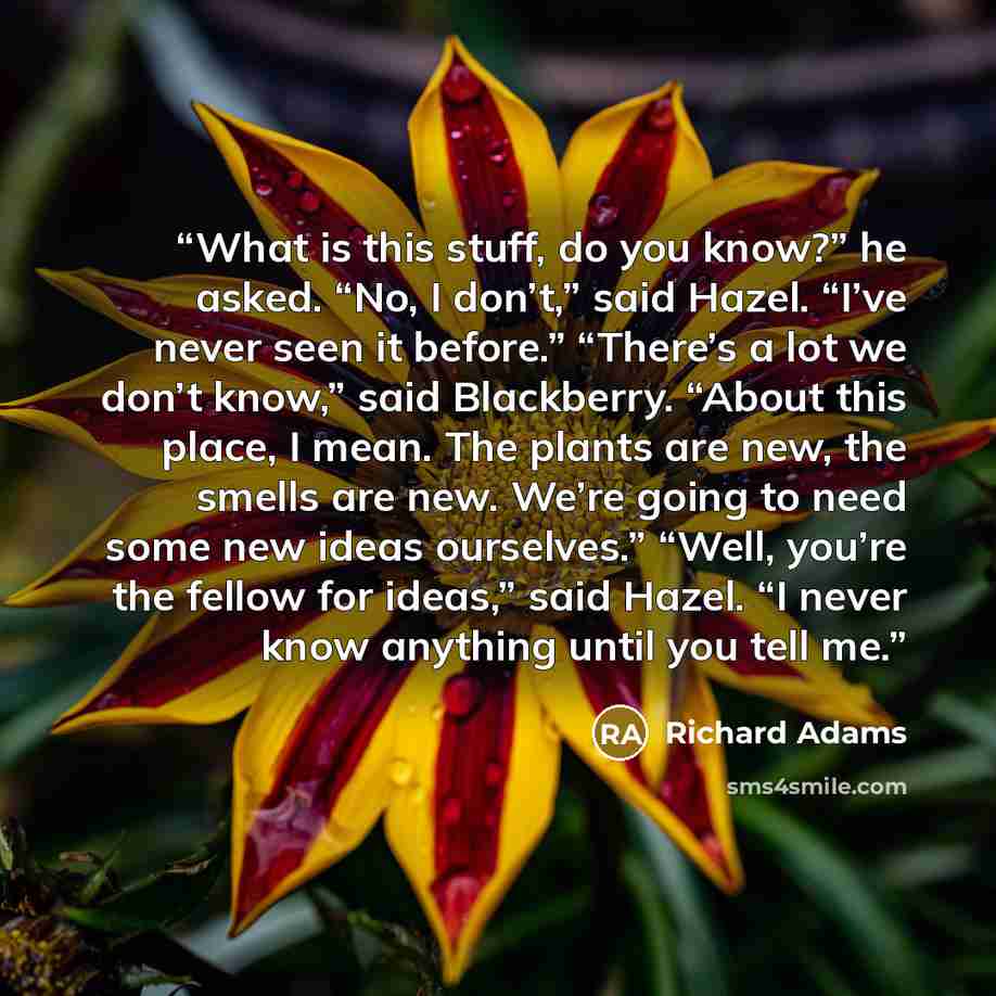 “What is this stuff, do you know?” he asked. “No, I don’t,” said Hazel. “I’ve never seen it before.” “There’s a lot we don’t know,” said Blackberry. “About this place, I mean. The plants are new, the smells are new. We’re going to need some new ideas ourselves.” “Well, you’re the fellow for ideas,”…” quote by Richard Adams