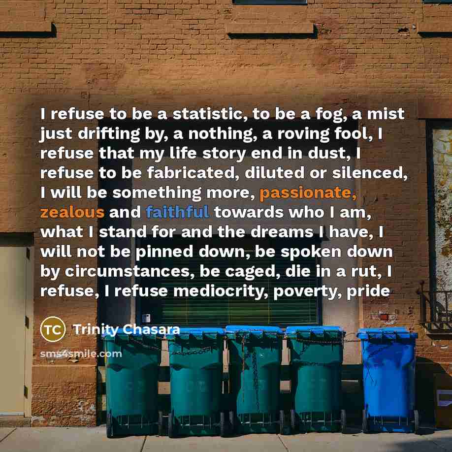 “I refuse to be a statistic, to be a fog, a mist just drifting by, a nothing, a roving fool, I refuse that my life story end in dust, I refuse to be fabricated, diluted or silenced, I will be something more, passionate, zealous and faithful towards who I am, what I stand for and the dreams I have…” quote by Trinity Chasara