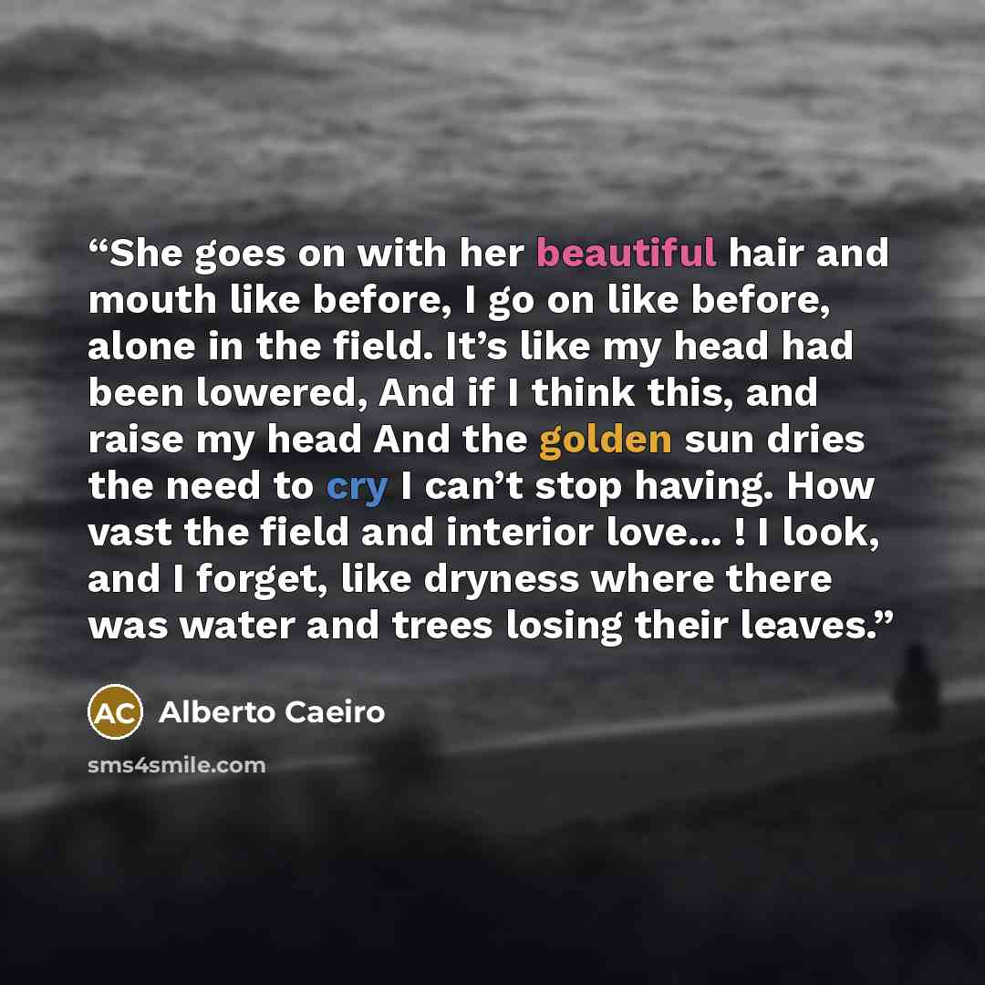“She goes on with her beautiful hair and mouth like before, I go on like before, alone in the field. It’s like my head had been lowered, And if I think this, and raise my head And the golden sun dries the need to cry I can’t stop having. How vast the field and interior love... ! I look, and I…” quote by Alberto Caeiro
