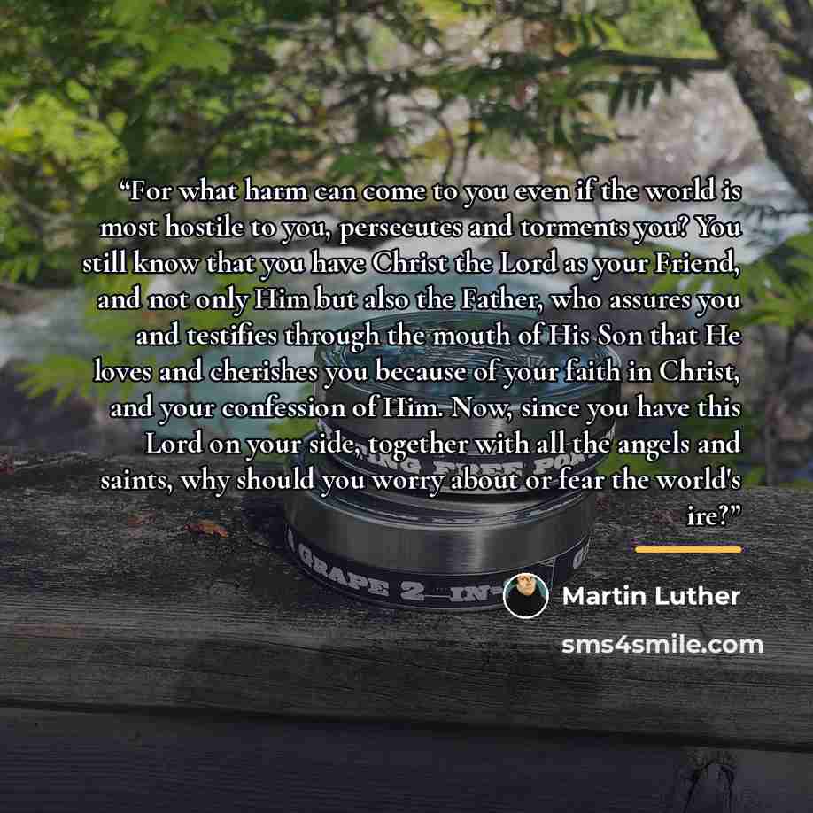 “For what harm can come to you even if the world is most hostile to you, persecutes and torments you? You still know that you have Christ the Lord as your Friend, and not only Him but also the Father, who assures you and testifies through the mouth of His Son that He loves and cherishes you because…” quote by Martin Luther