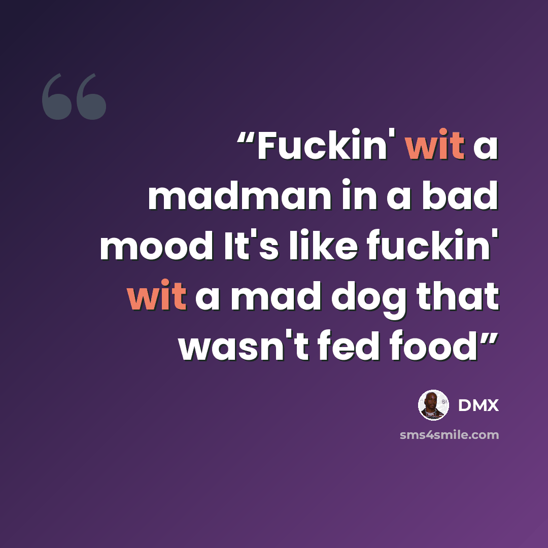 “Fuckin' wit a madman in a bad mood It's like fuckin' wit a mad dog that wasn't fed food” quote by DMX