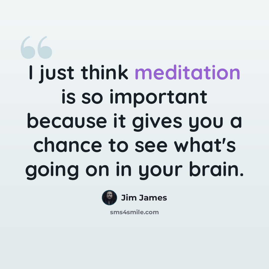 “I just think meditation is so important because it gives you a chance to see what's going on in your brain.” quote by Jim James