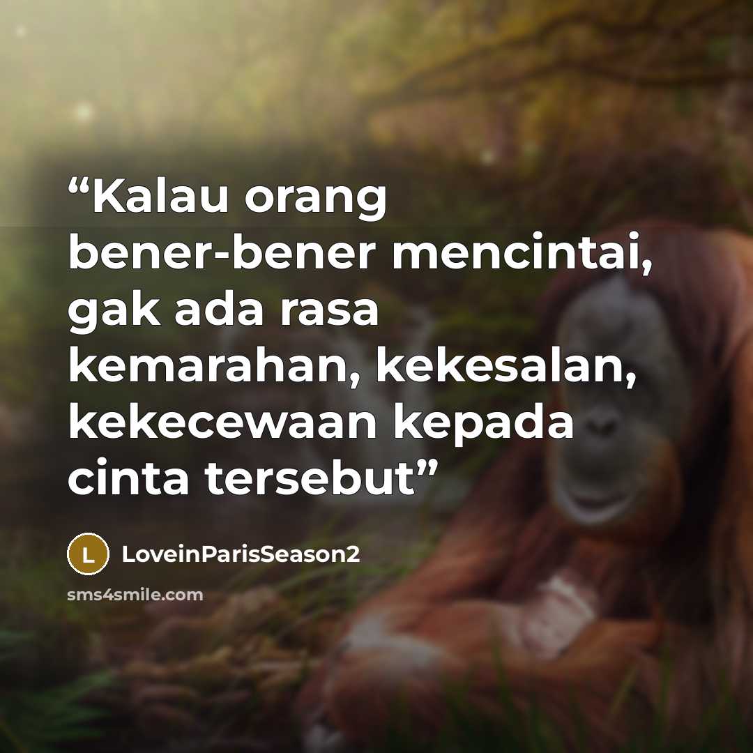 “Kalau orang bener-bener mencintai, gak ada rasa kemarahan, kekesalan, kekecewaan kepada cinta tersebut” quote by LoveinParisSeason2