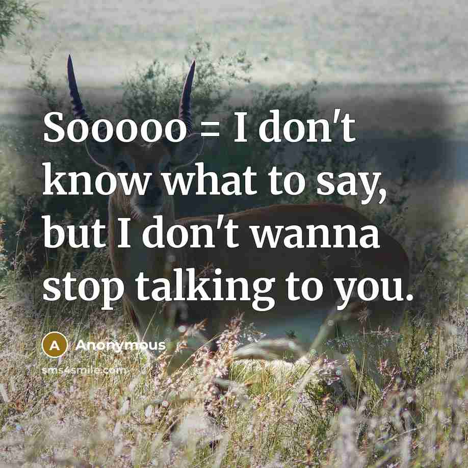 “Sooooo = I don't know what to say, but I don't wanna stop talking to you.” quote by Anonymous