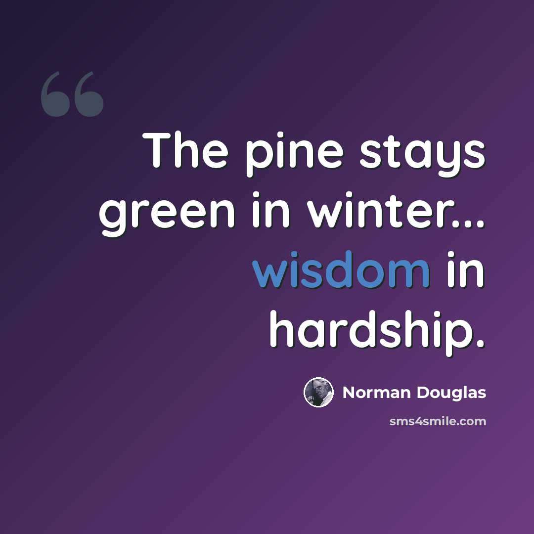 “The pine stays green in winter... wisdom in hardship.” quote by Norman Douglas