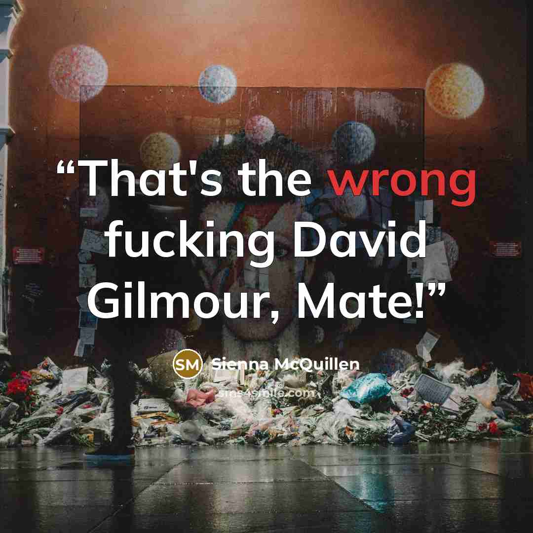 “That's the wrong fucking David Gilmour, Mate!” quote by Sienna McQuillen
