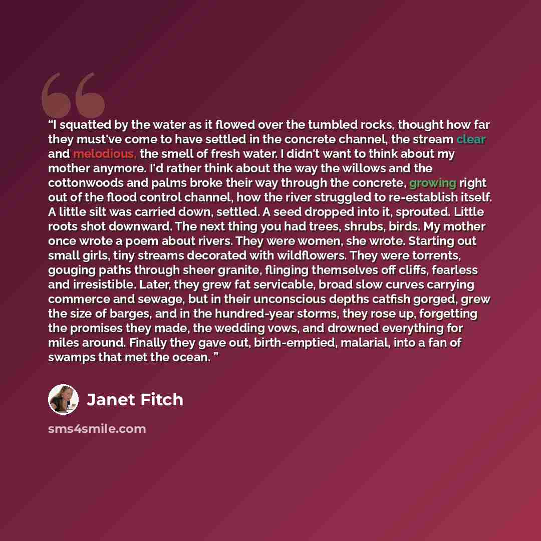 “I squatted by the water as it flowed over the tumbled rocks, thought how far they must've come to have settled in the concrete channel, the stream clear and melodious, the smell of fresh water. I didn't want to think about my mother anymore. I'd rather think about the way the willows and the…” quote by Janet Fitch