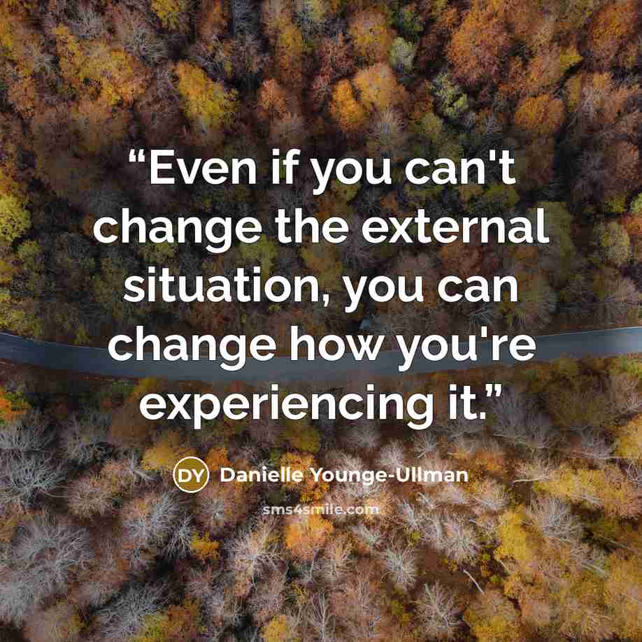 “Even if you can't change the external situation, you can change how you're experiencing it.” quote by Danielle Younge-Ullman