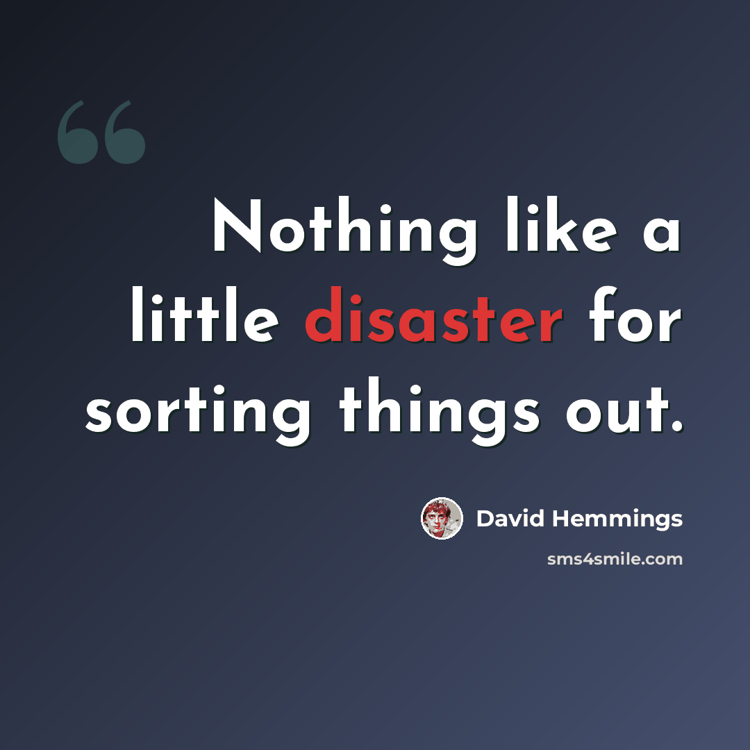 “Nothing like a little disaster for sorting things out.” quote by David Hemmings