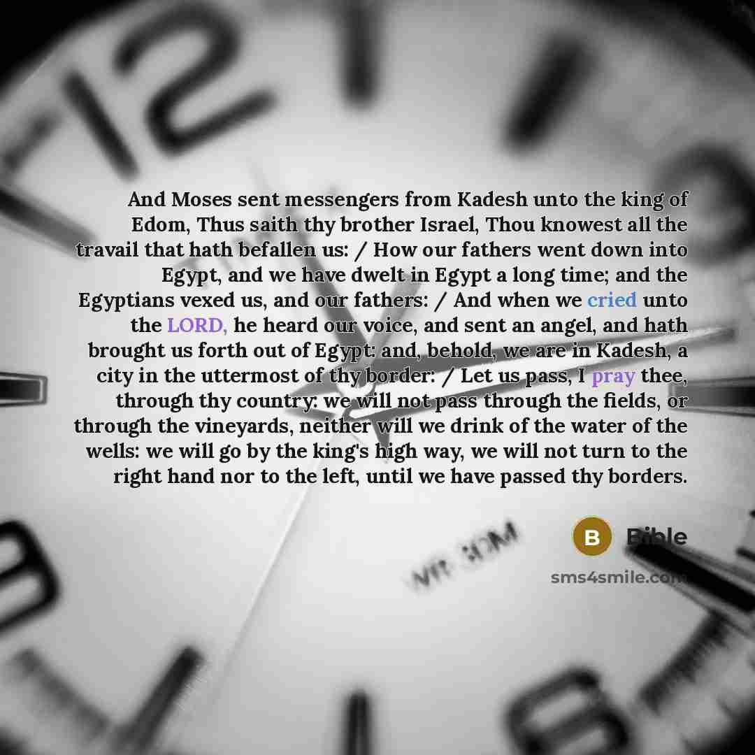 “And Moses sent messengers from Kadesh unto the king of Edom, Thus saith thy brother Israel, Thou knowest all the travail that hath befallen us: / How our fathers went down into Egypt, and we have dwelt in Egypt a long time; and the Egyptians vexed us, and our fathers: / And when we cried unto the…” quote by Bible