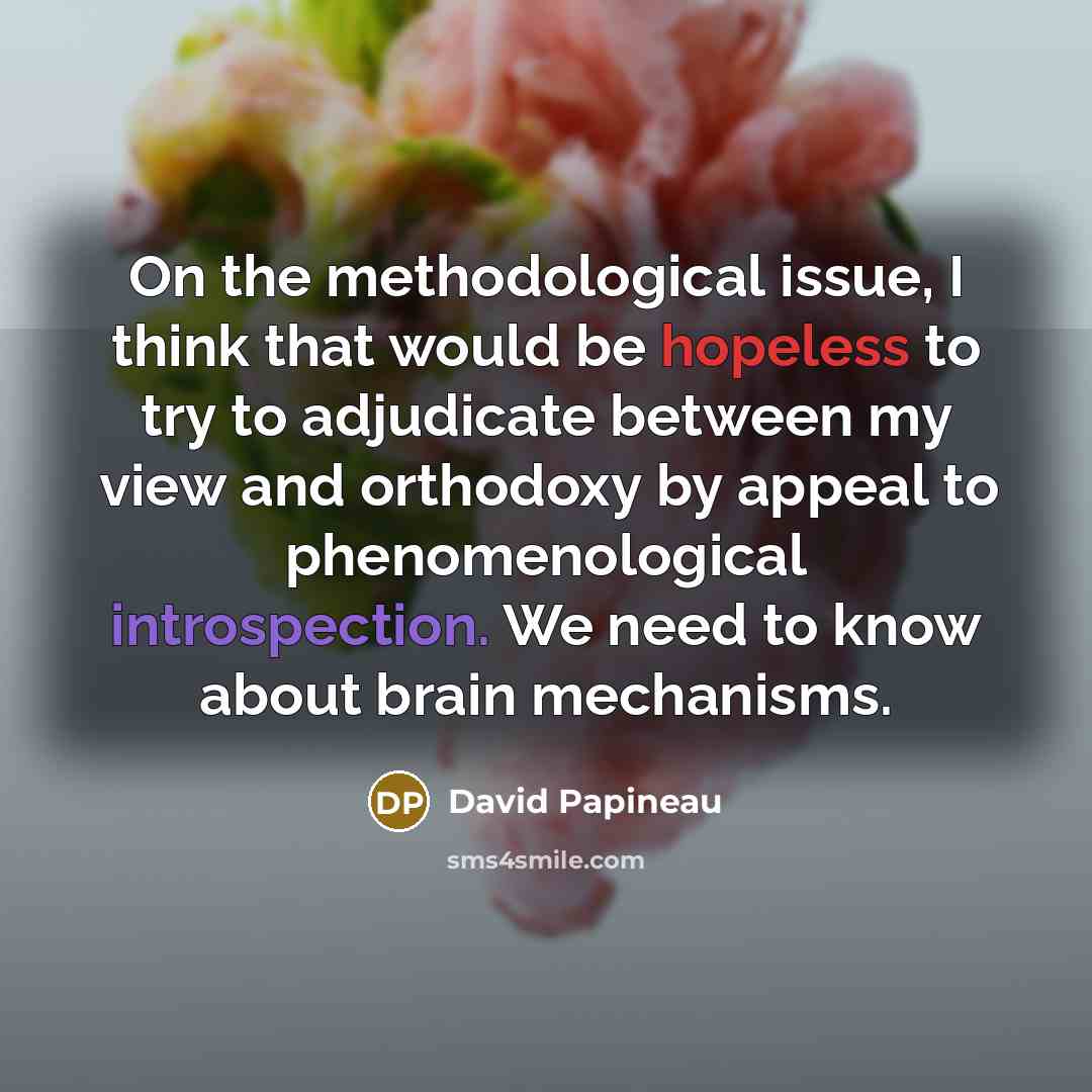 “On the methodological issue, I think that would be hopeless to try to adjudicate between my view and orthodoxy by appeal to phenomenological introspection. We need to know about brain mechanisms.” quote by David Papineau