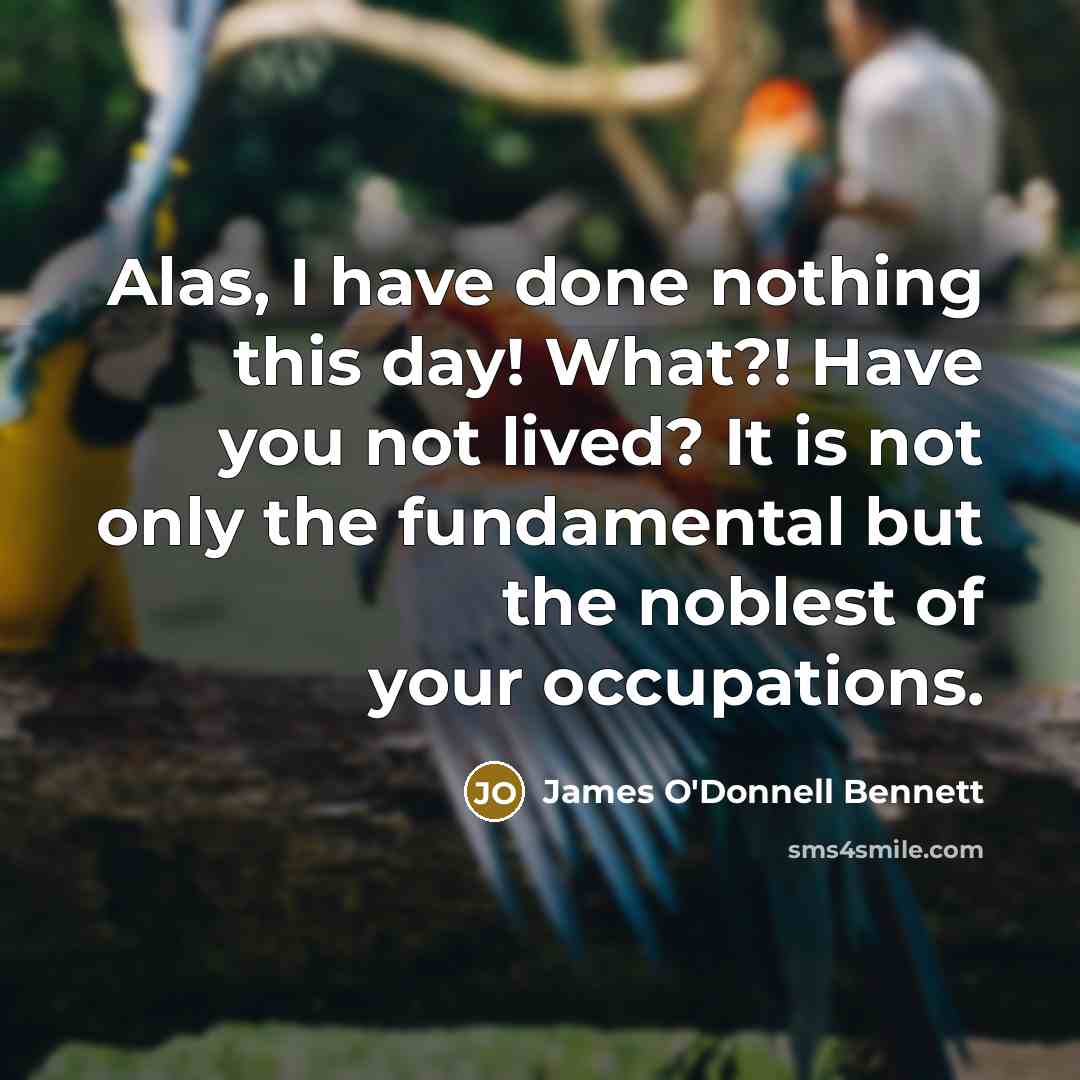 “Alas, I have done nothing this day! What?! Have you not lived? It is not only the fundamental but the noblest of your occupations.” quote by James O'Donnell Bennett