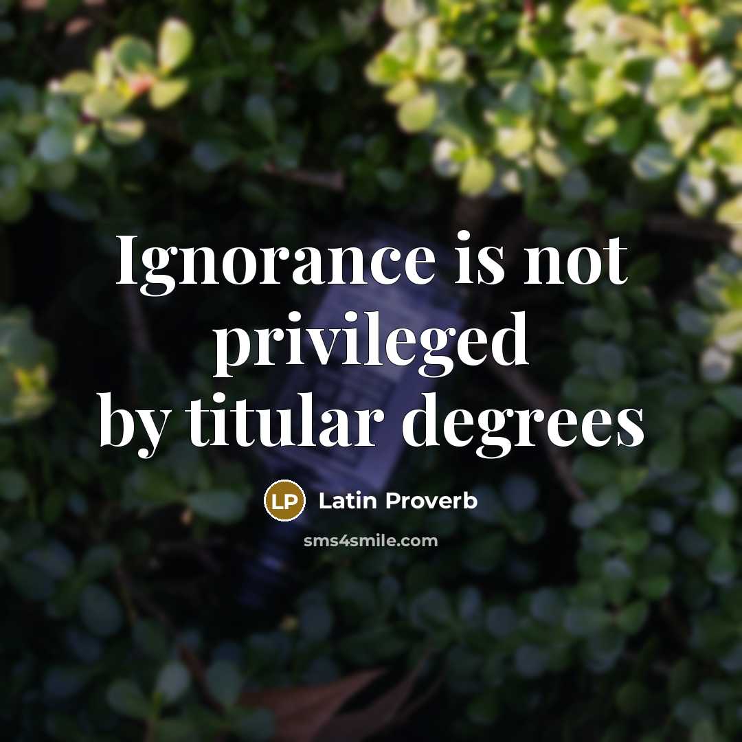 “Ignorance is not privileged by titular degrees” quote by Latin Proverb