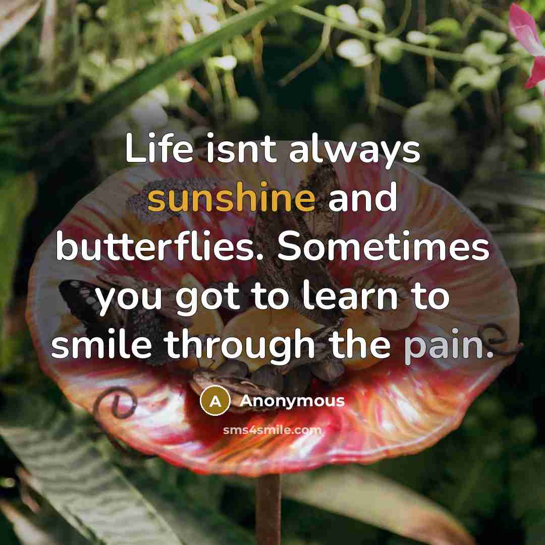 “Life isnt always sunshine and butterflies. Sometimes you got to learn to smile through the pain.” quote by Anonymous