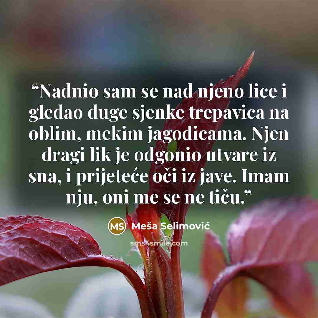 “Nadnio sam se nad njeno lice i gledao duge sjenke trepavica na oblim, mekim jagodicama. Njen dragi lik je odgonio utvare iz sna, i prijeteće oči iz jave. Imam nju, oni me se ne tiču.” quote by Meša Selimović
