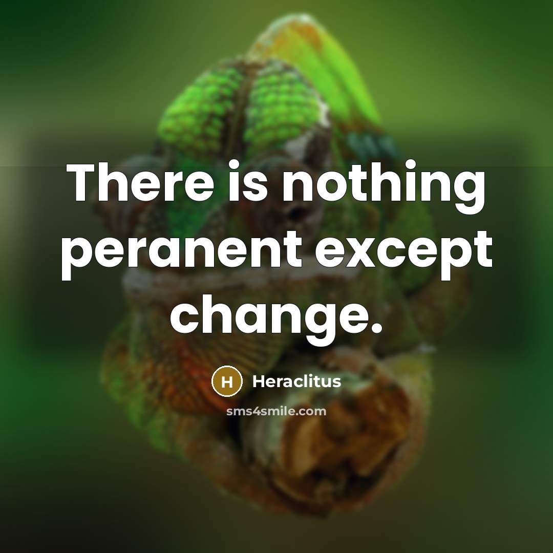 “There is nothing peranent except change.” quote by Heraclitus