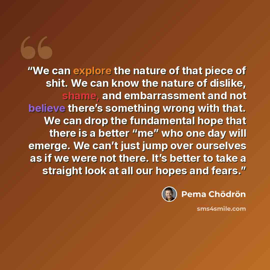 “We can explore the nature of that piece of shit. We can know the nature of dislike, shame, and embarrassment and not believe there’s something wrong with that. We can drop the fundamental hope that there is a better “me” who one day will emerge. We can’t just jump over ourselves as if we were not…” quote by Pema Chödrön