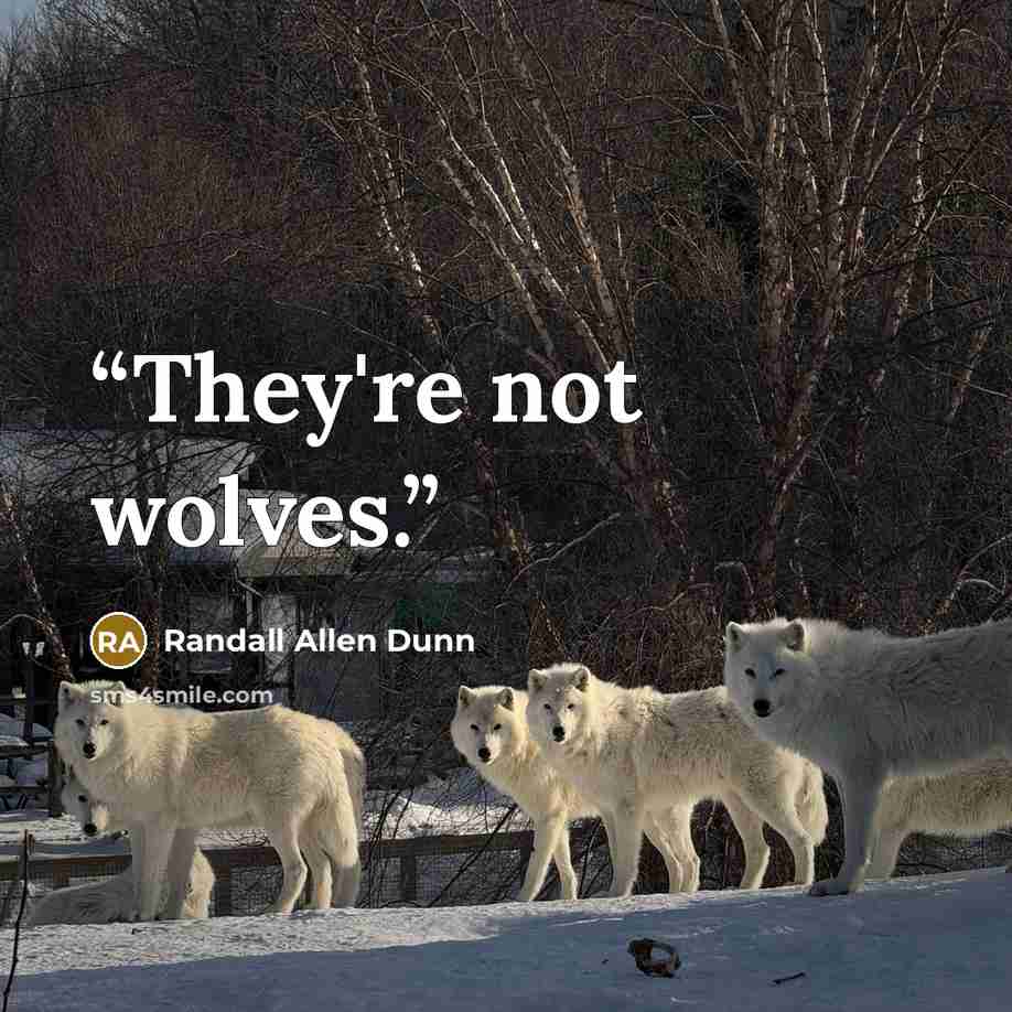 “They're not wolves.” quote by Randall Allen Dunn