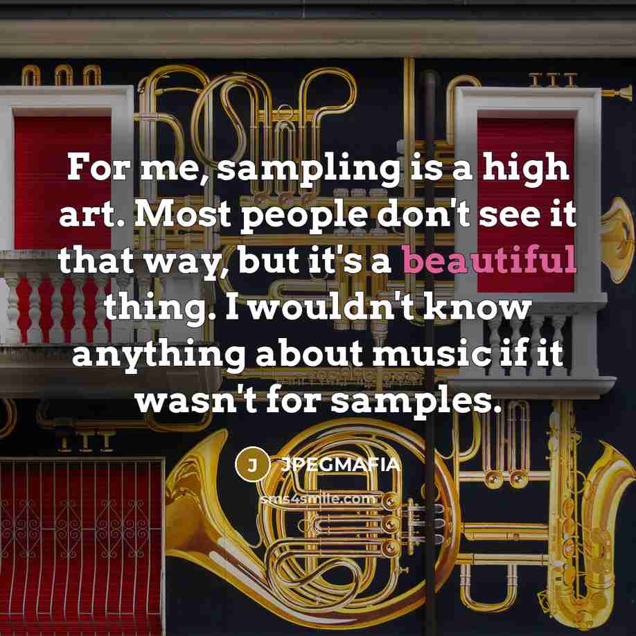 “For me, sampling is a high art. Most people don't see it that way, but it's a beautiful thing. I wouldn't know anything about music if it wasn't for samples.” quote by JPEGMAFIA