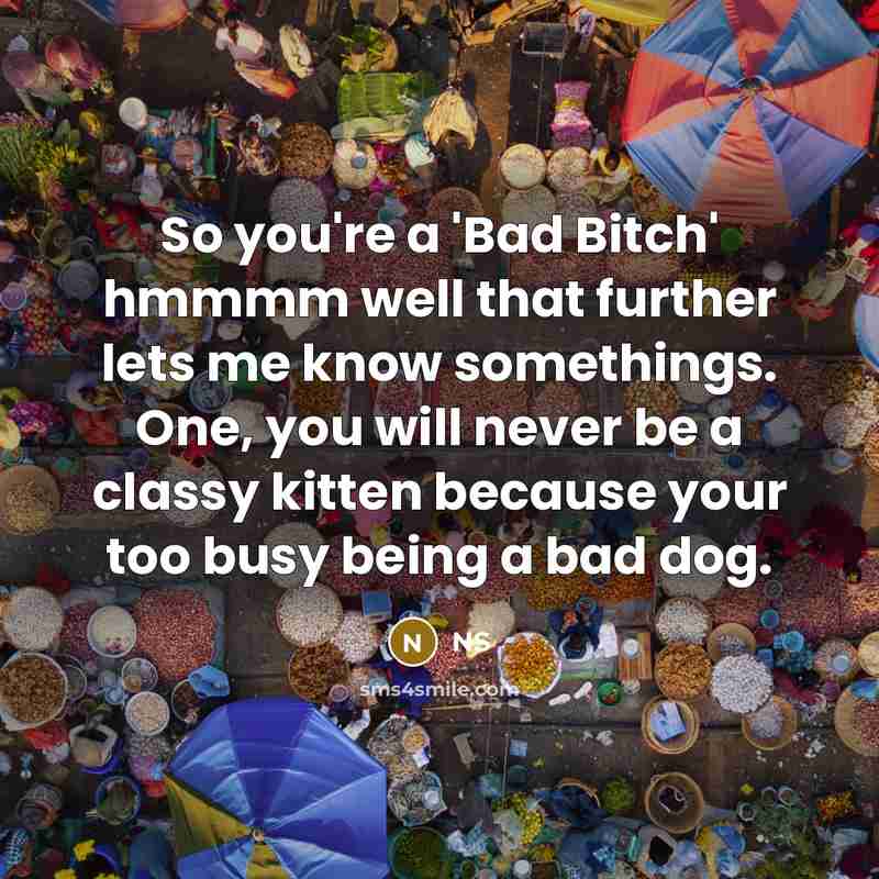 “So you're a 'Bad Bitch' hmmmm well that further lets me know somethings. One, you will never be a classy kitten because your too busy being a bad dog.” quote by NS
