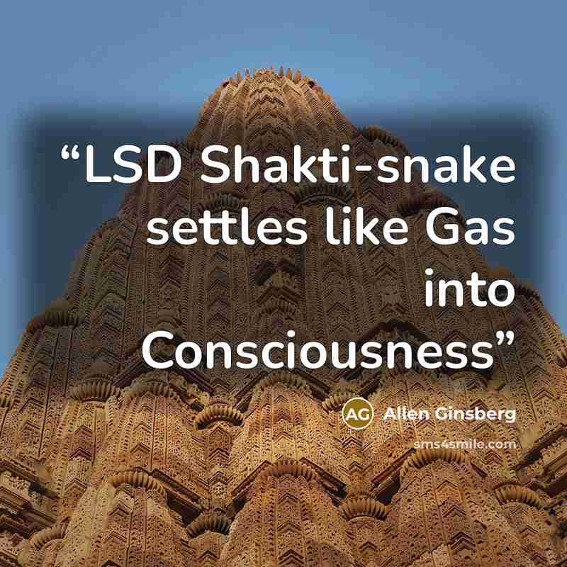 “LSD Shakti-snake settles like Gas into Consciousness” quote by Allen Ginsberg
