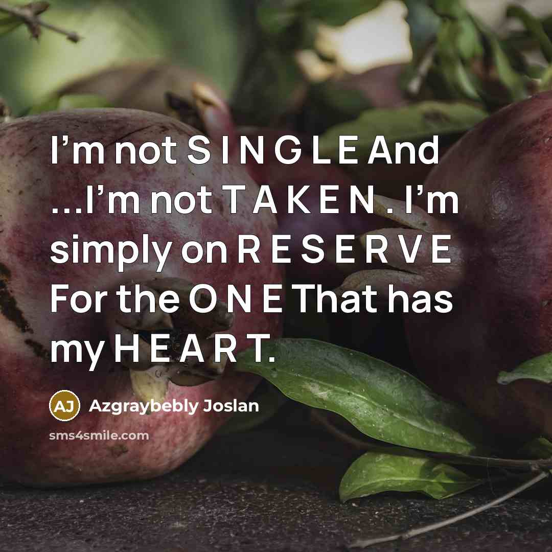 “I'm not S I N G L E And ...I'm not T A K E N . I'm simply on R E S E R V E For the O N E That has my H E A R T.” quote by Azgraybebly Joslan